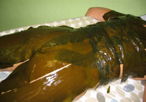 Обертывание водорослями